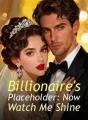 Billionaire's Placeholder: Now Watch Me Shine cover