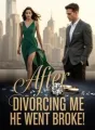 After Divorcing Me, He Went Broke! cover