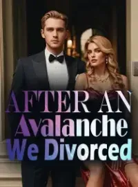 After an Avalanche, We Divorced