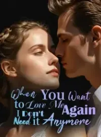 When You Want to Love Me Again, I Don't Need it Anymore