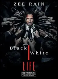 Black White Life