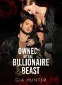 Owned by the Billionaire Beast cover