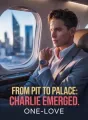 From Pit to Palace: Charlie Emerged cover