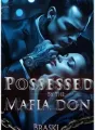 Possessed by the Mafia Don cover