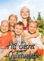 His Secret Quintuplets cover