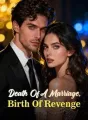 Death Of A Marriage, Birth Of Revenge cover