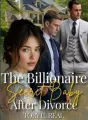 The Billionaire Secret Baby After Divorce cover