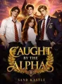 Caught by the Alphas: The Hidden Beauty of Alpha Academy cover