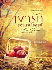 เงารักของนายไอศูรย์