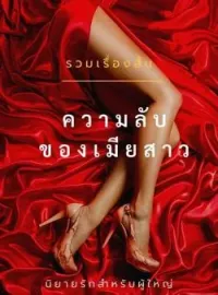 ความลับของเมียสาว 