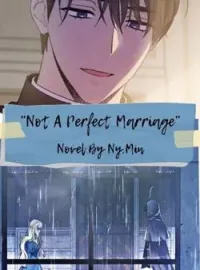 Not A Perfect Marriage
