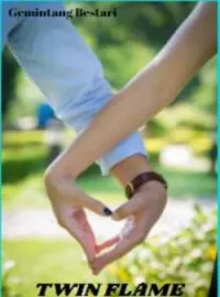 TWIN FLAME