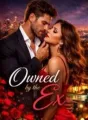 Owned by the Ex cover