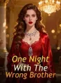 One Night With The Wrong Brother cover