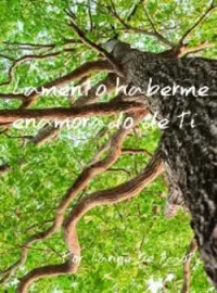 Lamento haberme enamorado de ti.