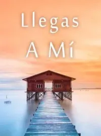 Llegas A Mí