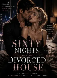 Sixty Nights in Our Divorced House