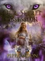 Our Secret Obsession (Book 2) cover