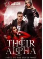 Their Alpha: Fated to The Silver Wolf cover