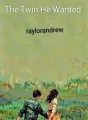 The Twin He Wanted  cover