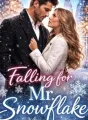 FALLING FOR MR SNOWFLAKE cover