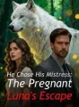 He Chose His Mistress: The Pregnant Luna's Escape cover