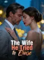 The Wife He Tried to Erase cover