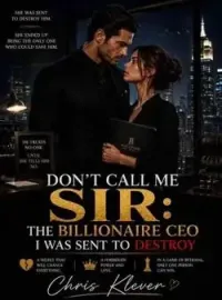 DON'T CALL ME SIR: THE BILLIONAIRE CEO I WAS SENT TO DESTROY