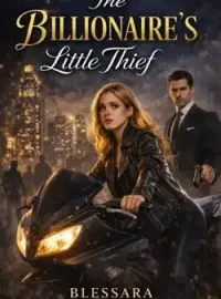 The Billionaires Little Thief 