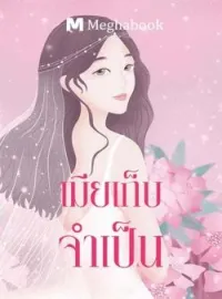 เมียเก็บจำเป็น