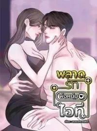 พลาดรักพ่อหนุ่มไอที