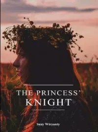 The Princess Knight