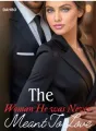 The Woman He Was Never Meant To Love cover