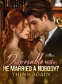 Disposable Wife: He Married A Nobody? Think Again cover