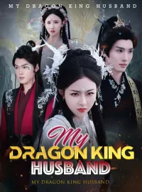My Dragon King Husband