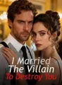 I Married The Villain To Destroy You cover