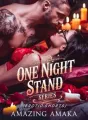One Night Stand Series  cover