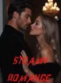 STEAMY ROMANCE cover
