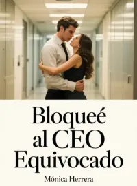 Bloqueé al CEO Equivocado