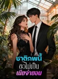 ชาติภพนี้ขอไม่เป็นเมียจำยอม