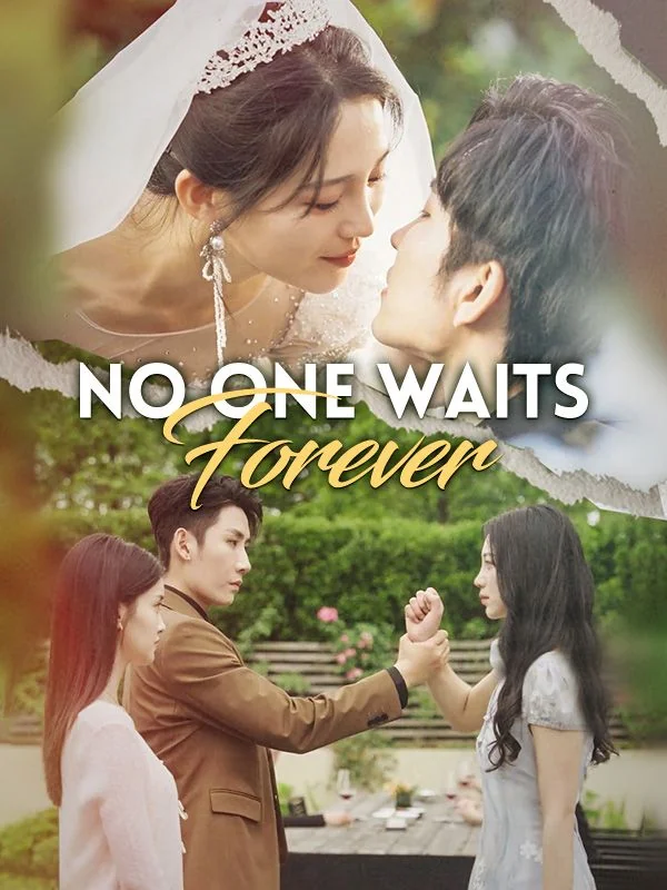 No One Waits Forever (DUBBED) cover