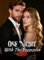 One Night With The Possessive CEO cover