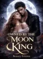 OWNED BY THE MOON KING  cover