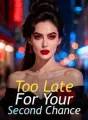 Too Late For Your Second Chance cover