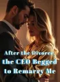 After the Divorce, the CEO Begged to Remarry Me cover