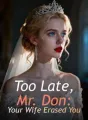 Too Late, Mr. Don: Your Wife Erased You cover