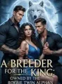 Owned by the Rogue Twin Alpha's (A Breeder for the King) cover