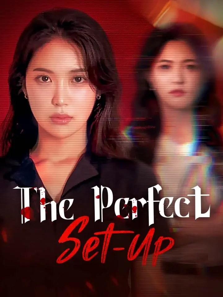 The Perfect Set-Up cover