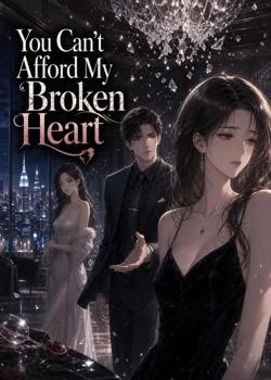 You Can't Afford My Broken Heart
