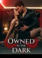 OWNED IN THE DARK cover